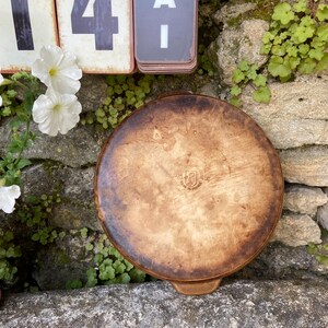 May include: A circular, brown pizza stone with a handle, set against a stone wall with greenery and white petunia flowers in a terracotta pot. The stone has a dark, textured surface and a logo.