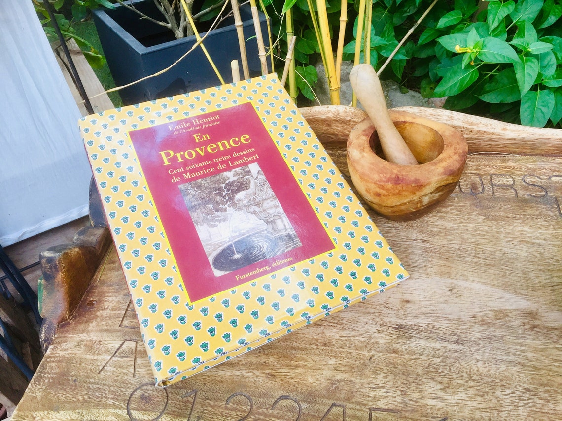 The Provence Illustrated coffee table book about French | Etsy