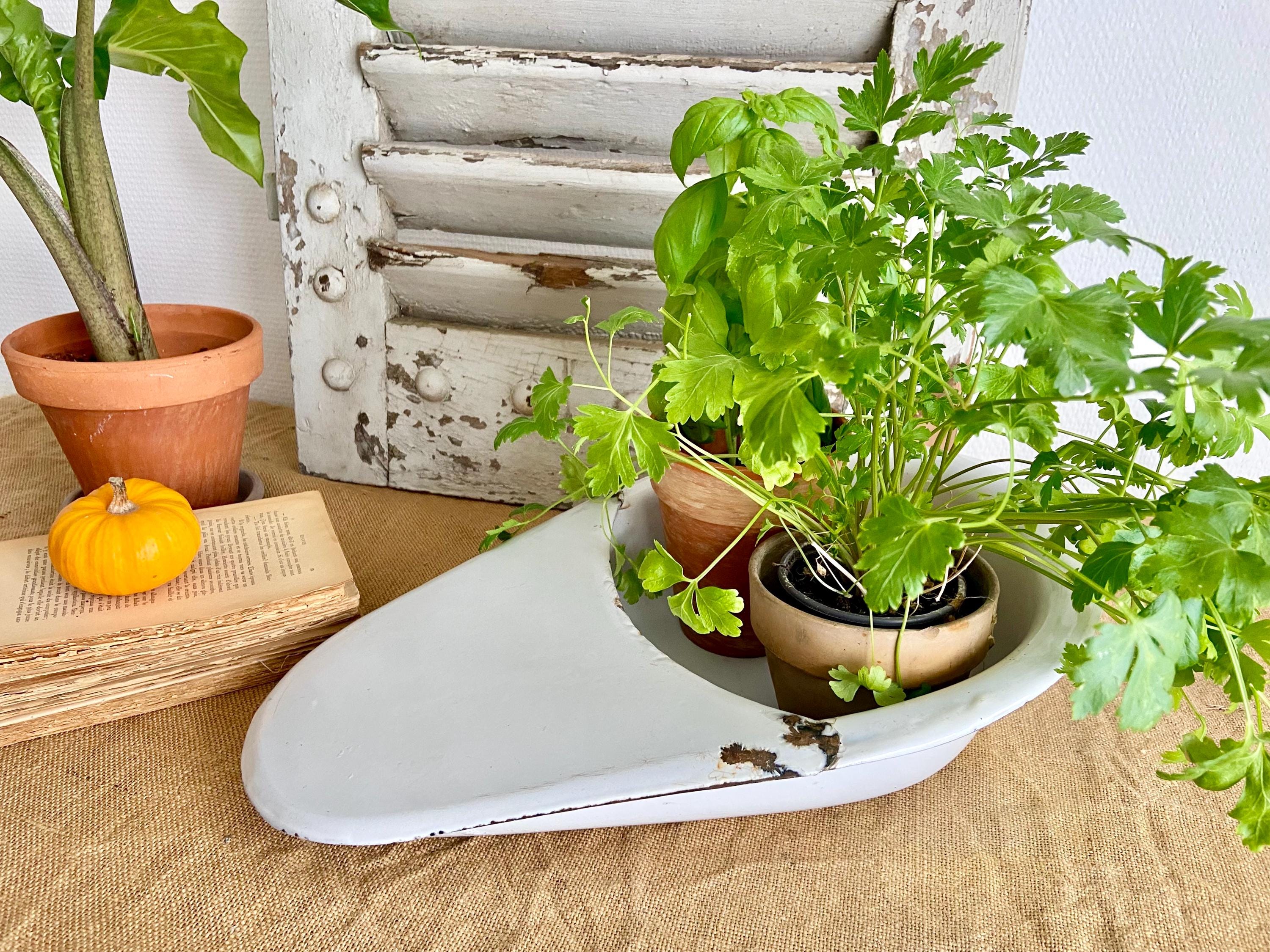 Medical planters - Etsy.de