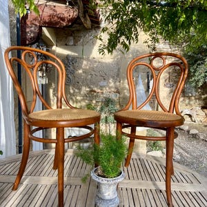 Thonet Bentwood Chairs - Etsy