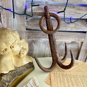 アンティークのフランス製錬鉄製井戸用バケットフック：素朴なグラップリングレトリーバー