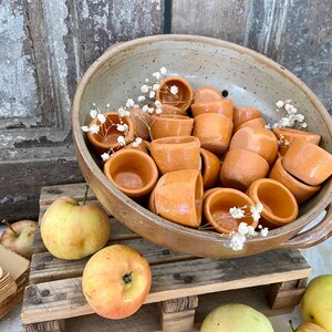 May include: A ceramic bowl filled with small terracotta pots, arranged in a random pattern. The bowl is sitting on a wooden surface with apples nearby.