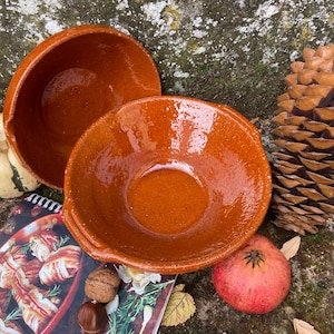 May include: Two glazed, terracotta-colored bowls are displayed, one partially obscuring the other. A pine cone, a small gourd, and a pomegranate are arranged nearby. A cookbook with images of food is also visible.