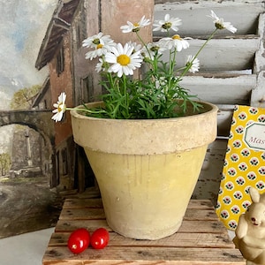 Vintage French Terracotta Plant Pot: Weathered Beige Limestone