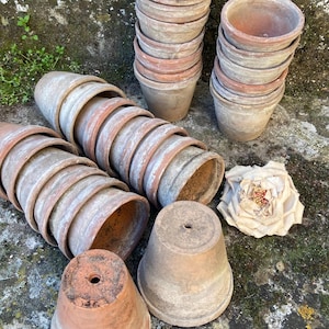 Puede incluir: Una colección de pequeñas macetas de terracota desgastadas. Las macetas están apiladas en grupos y dispersas, mostrando variaciones de color desde el beige claro hasta el marrón rojizo. También hay una flor seca decorativa.