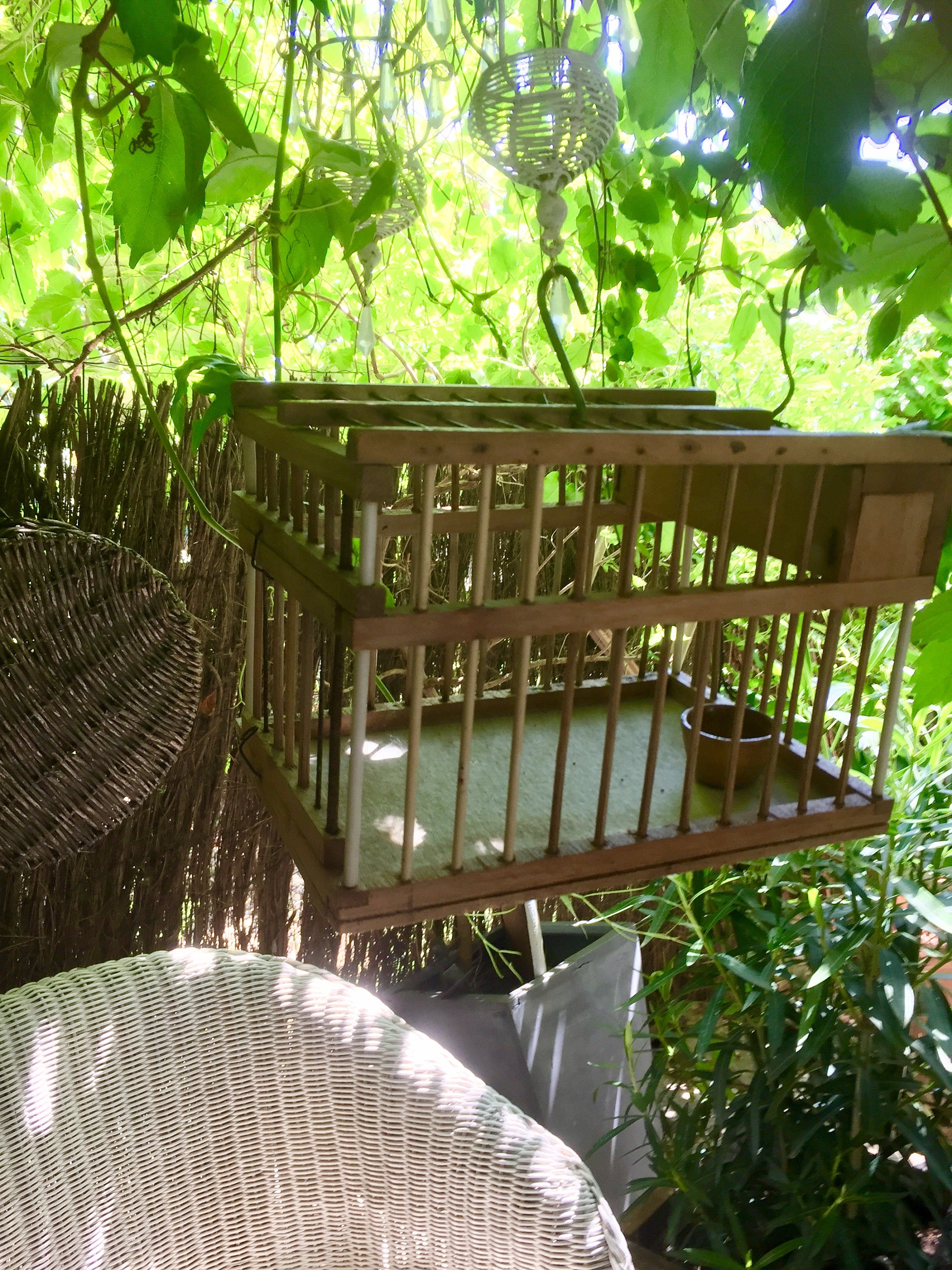 French antique bird cage wood and wire bird cage vintage birdhouse with