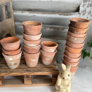 Könnte beinhalten: Eine Sammlung kleiner, terrakottafarbener Blumentöpfe, die auf einer Holzpalette gestapelt und angeordnet sind. Die Töpfe variieren in der Größe und weisen Alterserscheinungen auf, wobei einige weiße Verfärbungen aufweisen. Eine kleine, cremefarbene Hasenfigur ist ebenfalls vorhanden.