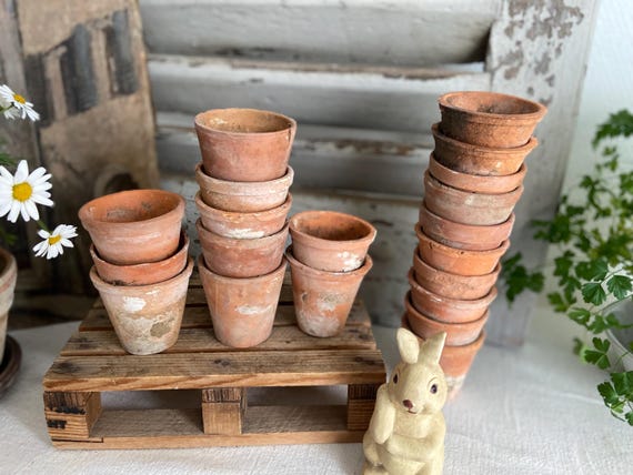 Vintage French set of 10 seedling plant pots, beautifully distressed terracotta pots, naturally limestone stained, old clay seed planters