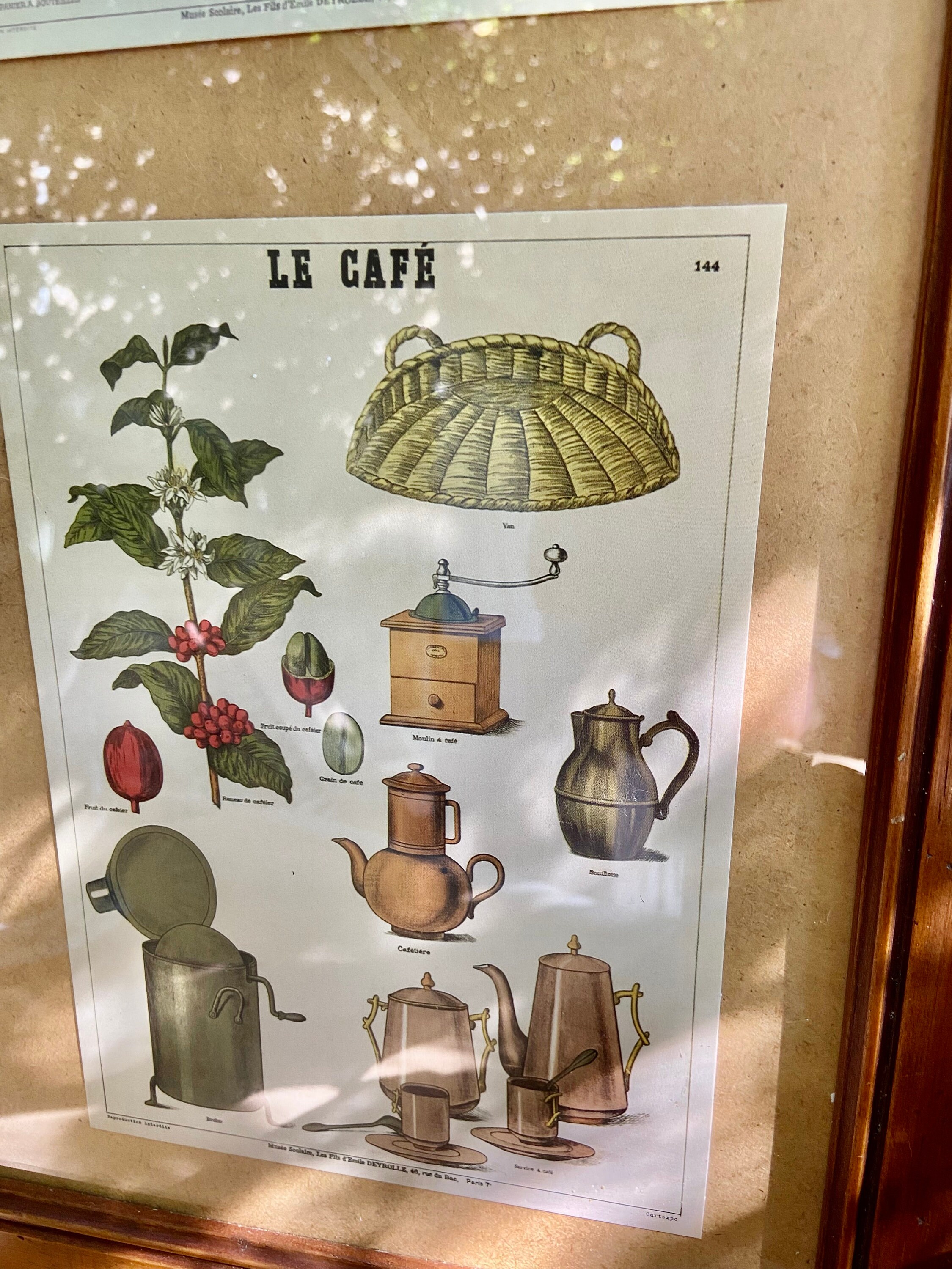 French Provincial educational posters, vintage framed school board