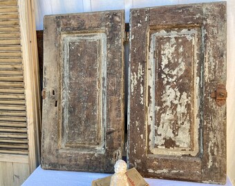 Paire de panneaux de bois français antiques, porte d'armoire de coffre-fort à tarte vintage, panetière sculptée à la main, chimère de récupération architecturale LOT de DEUX