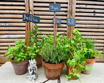 Estacas de jardín francesas vintage, juego de 5 encantadores marcadores antiguos de pizarra y hierbas de madera para jardín, también se pueden usar como dibbles para plantar semillas