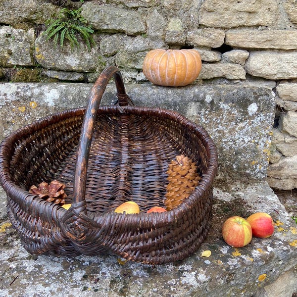 Vintage XXL French Gathering Basket, large size old woven willow harvesting basket with a bentwood handle, "buttocks basket"