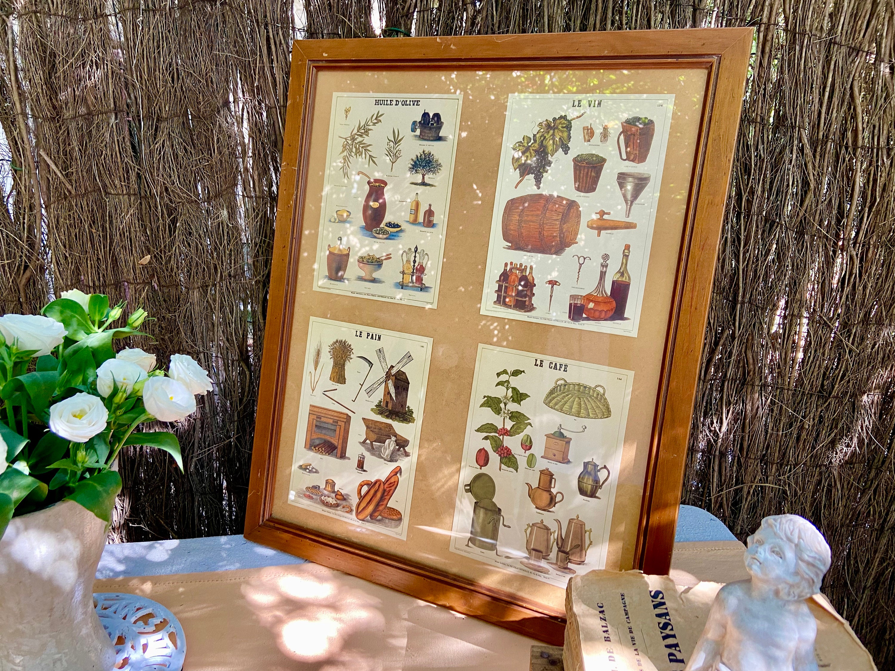 French Provincial educational posters, vintage framed school board