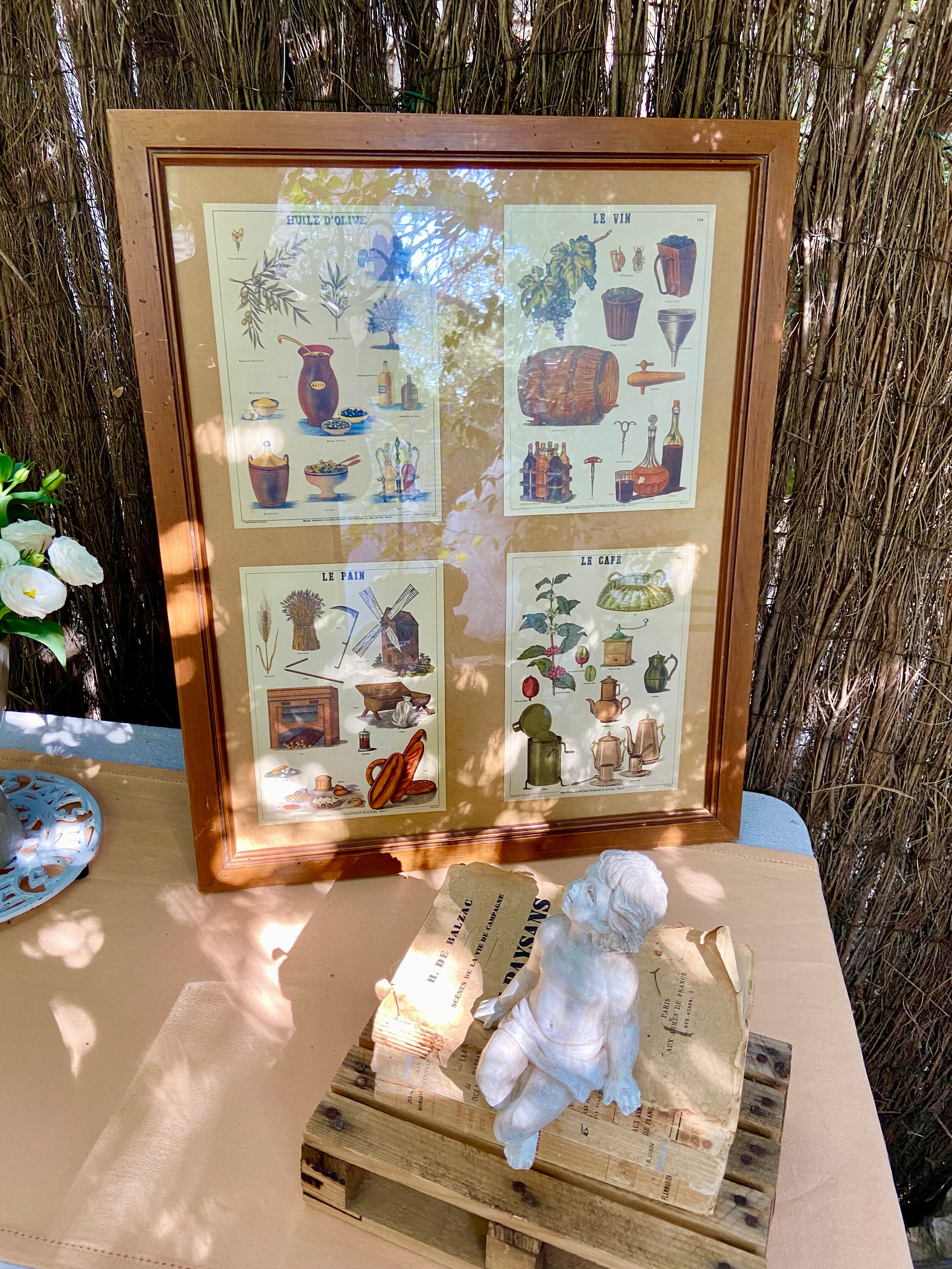 French Provincial educational posters, vintage framed school board