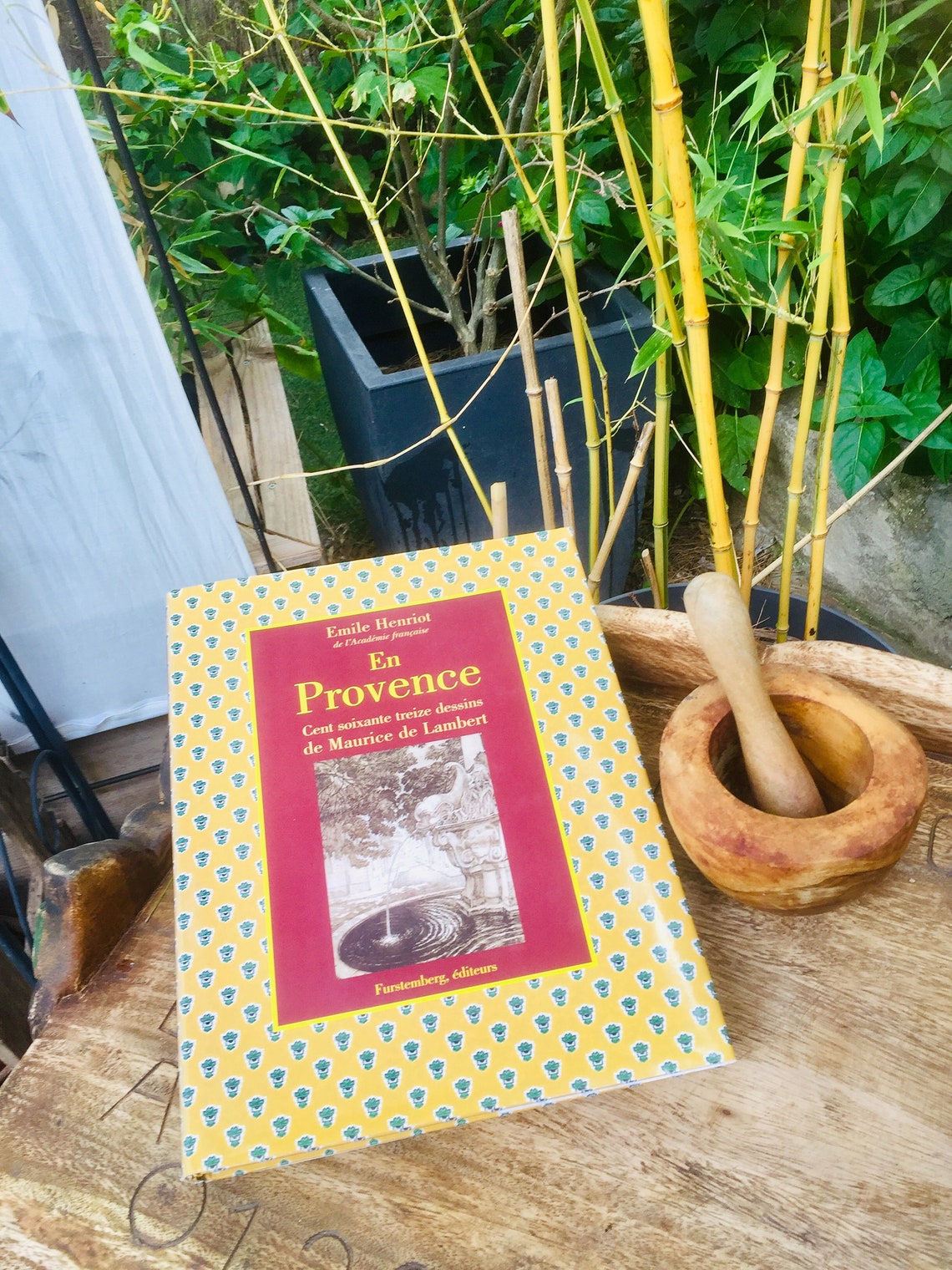 The Provence Illustrated coffee table book