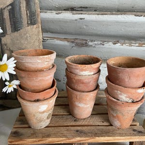 May include: A collection of terracotta flower pots of various sizes, stacked on a wooden pallet. The pots have a weathered appearance, with visible signs of age and use. White daisies with yellow centers are in a terracotta pot to the left.