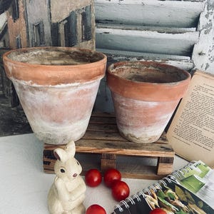 Vintage Terracotta Plant Pots (Set of 2): Weathered Limestone Patina, Shabby Chic Garden Decor