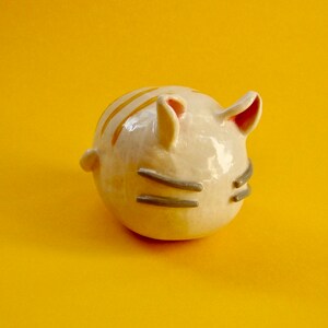 箱座り猫  Cat loaf