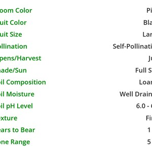 May include: A chart listing the growing conditions for a plant. The chart includes information about bloom color, fruit color, fruit size, pollination, ripens/harvest, shade/sun, soil composition, soil moisture, soil pH level, texture, years to bear, and zone range.