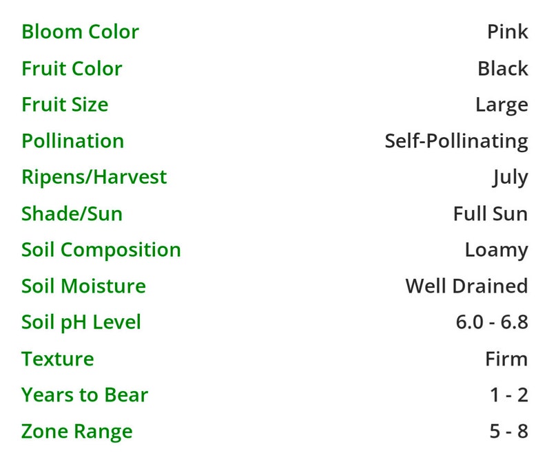 May include: A chart listing the growing conditions for a plant. The chart includes information about bloom color, fruit color, fruit size, pollination, ripens/harvest, shade/sun, soil composition, soil moisture, soil pH level, texture, years to bear, and zone range.