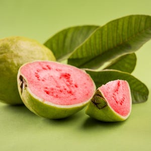 Ruby Supreme guava trees guayaba amarood trái ổi