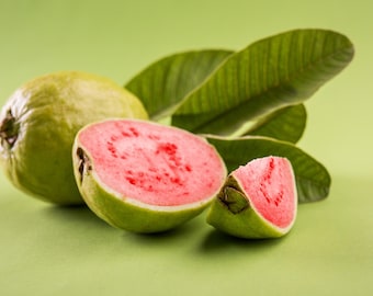Ruby Supreme guayaba guayaba amarood trái ổi
