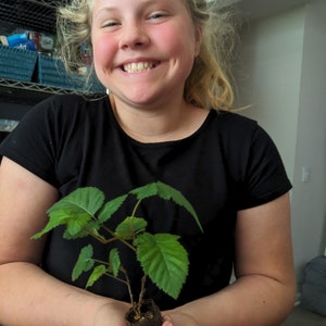 May include: A young person with blonde hair is smiling and holding a small green plant in a brown pot. The plant has several green leaves and a thin brown stem.
