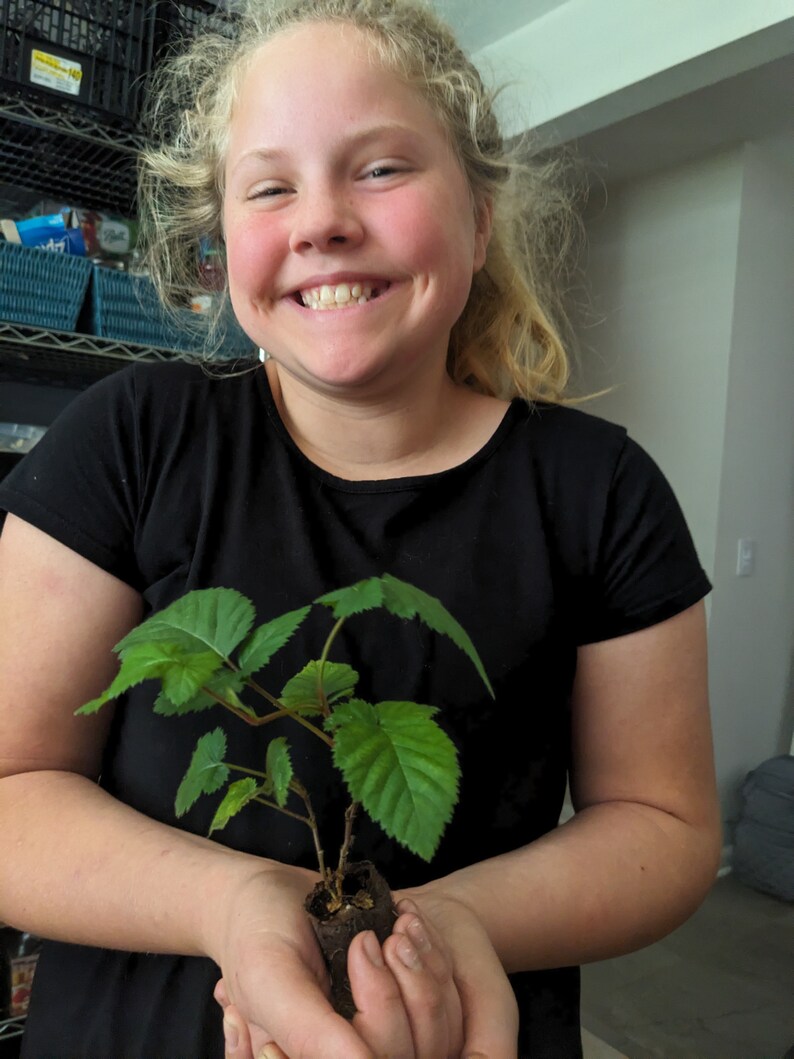 May include: A young person with blonde hair is smiling and holding a small green plant in a brown pot. The plant has several green leaves and a thin brown stem.
