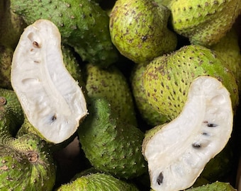 Soursop Gaviola Guanabana trees