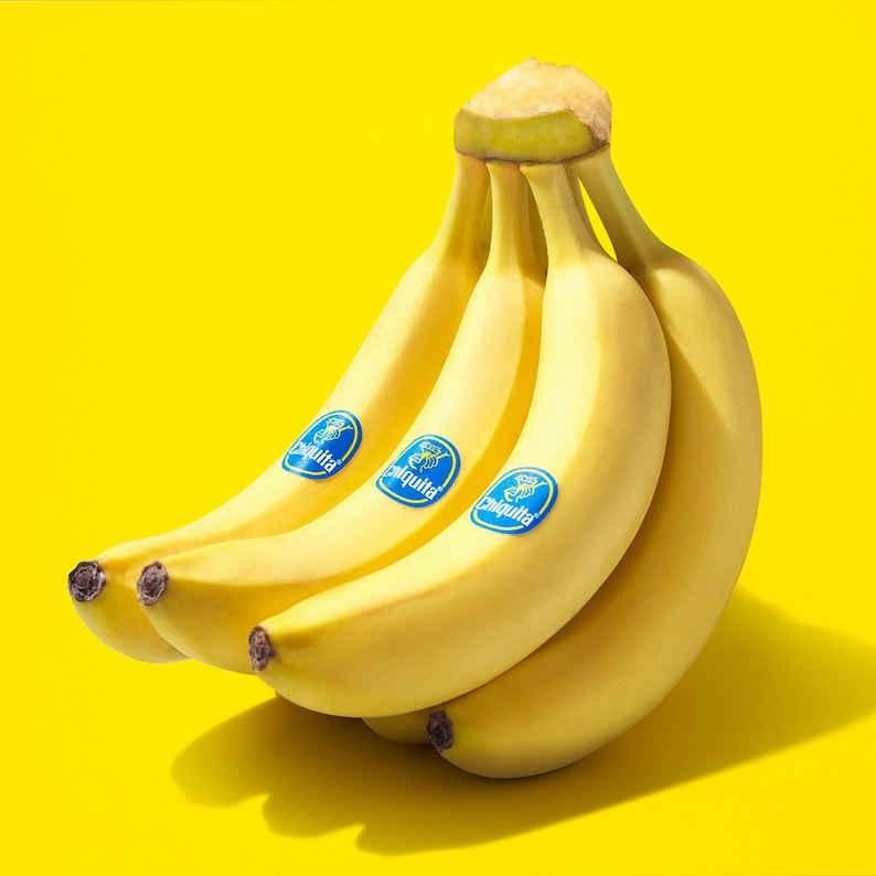May include: A bunch of yellow bananas with blue Chiquita stickers on them. The bananas are arranged in a fan shape, with the tips of the bananas pointing towards the top of the image.