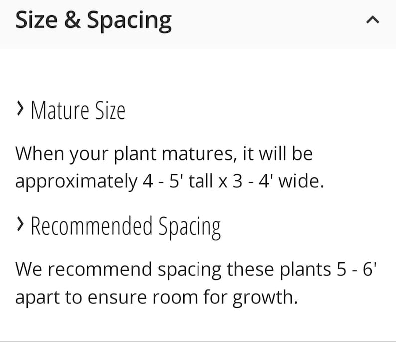 May include: Text describing the size and spacing requirements for a plant. When mature, the plant will grow to be 4 to 5 feet tall and 3 to 4 feet wide. It is recommended to space these plants 5 to 6 feet apart to ensure adequate room for growth.