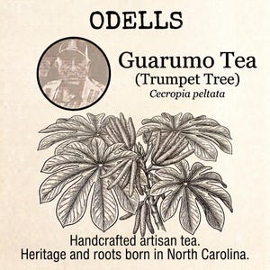 May include: A product label for ODELLS Guarumo Tea, featuring a circular sepia-toned portrait of a person, a detailed black and white botanical illustration of the Cecropia peltata plant, and the text: Handcrafted artisan tea. Heritage and roots born in North Carolina.