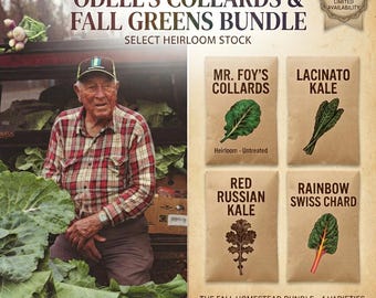 Odell’s Fall Homestead Greens Bundle | 4 Heirloom Untreated Seed Var. | Mr. Foy’s Collards, Lacinato & Red Russian Kale, Rainbow Swiss Chard