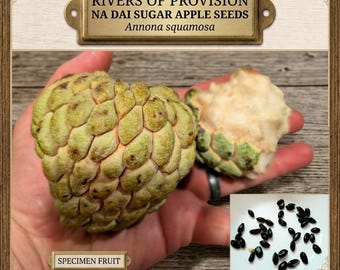 Na Dai Sugar Apple Seeds, Annona squamosa, Chewy Vietnamese Sweetsop, Rare Tropical Fruit Tree Collector Seeds