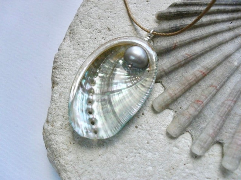 Ormer Shell Pendant Grey Freshwater Pearl Accent Real Etsy