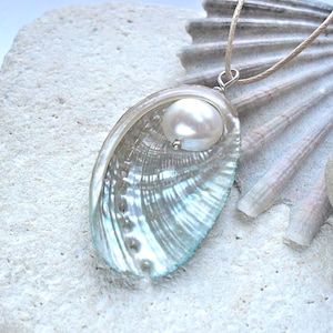 Ormer Shell Pendant with White Freshwater Pearl, Real shell
