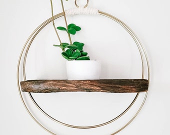 Rough Edge Burnt Wood Plant Holder | Plant Hanger | Hoop Decor | Indoor Planter | Barn board Decor | Plant Decor | Boho Planter | Plants