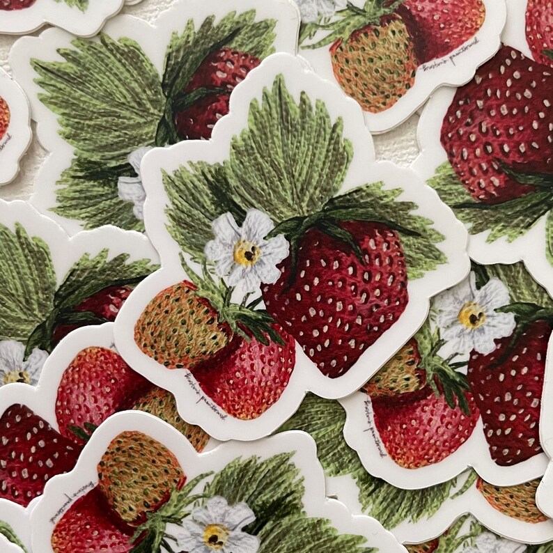 Strawberry Vinyl Sticker . Decal . Waterproof Dishwasher Safe . Summer ...