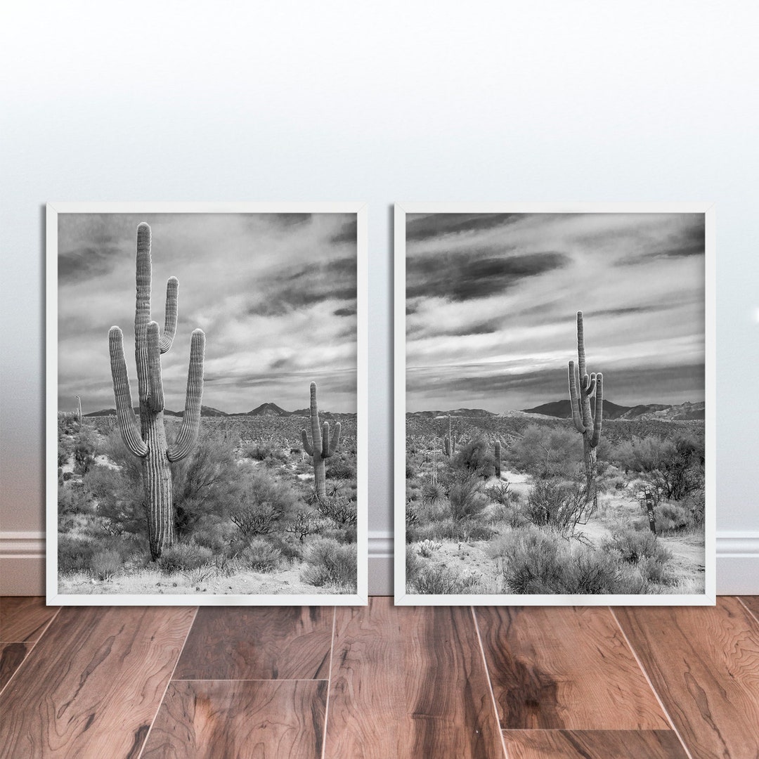 Desert Cactus Photo Black and White Desert Landscape Set of 2 South ...