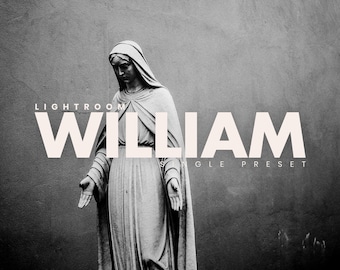 William Lightroom Preset, Mobile, Film, Black and White, Instagram, Insta, Creative, Movie