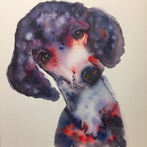 Poodle
