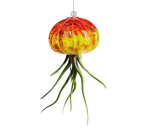 Cauliflower Jellyfish Air Plant Holder