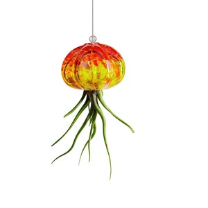 Cauliflower Jellyfish Air Plant Holder