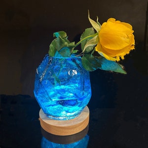 Air Plant Holder/flower Vase Glass Gem with LED wood base