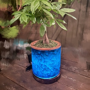 Op de afbeelding: Een kleine groene plant in een blauwe en witte keramische pot met een houten voet. De pot wordt van binnenuit verlicht, waardoor een gloeiend effect ontstaat.