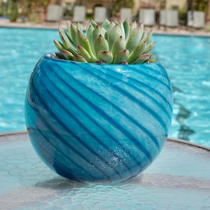 May include: A succulent plant in a blue and white swirl glass planter. The planter is sitting on a glass table top. The background is a swimming pool.