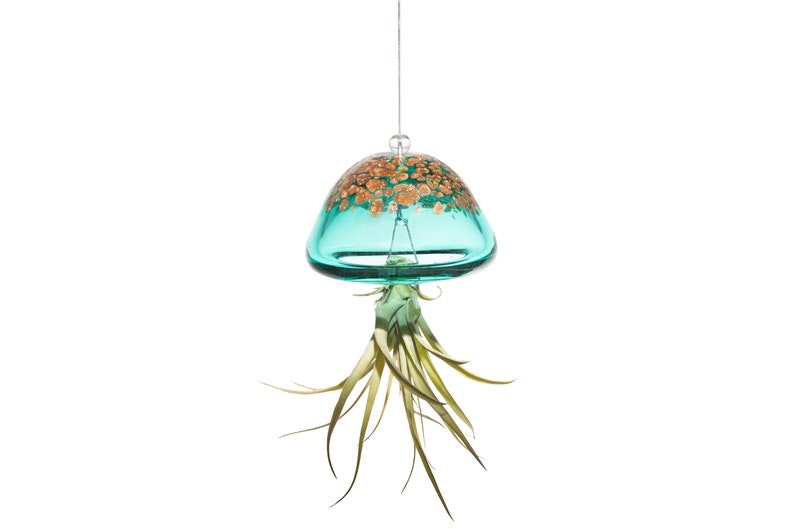 Hand Blown Art Glass Jellyfish with Life Air Plant/Tillandsia Etsy