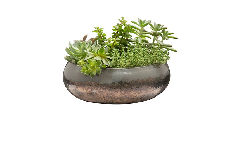 10 Art Glass Low Bowl Planters/Succulent Planters Etsy