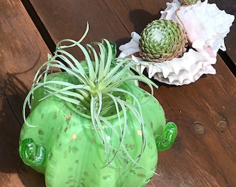 Handmade Art Glass Cactus Air Plant Holder Flower Vase