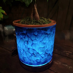 Plantador de vidro artístico LED de 8&quot; com autoirrigação (planta não incluída)